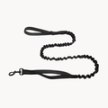 ParoPet Bungee Dog Lead