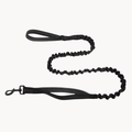 🎁 FREE ParoPet Bungee Lead