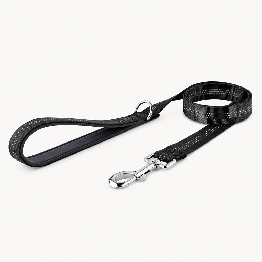 🎁 FREE ParoPet Classic Dog Lead
