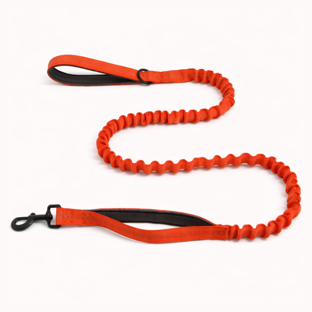Matching Bungee Lead