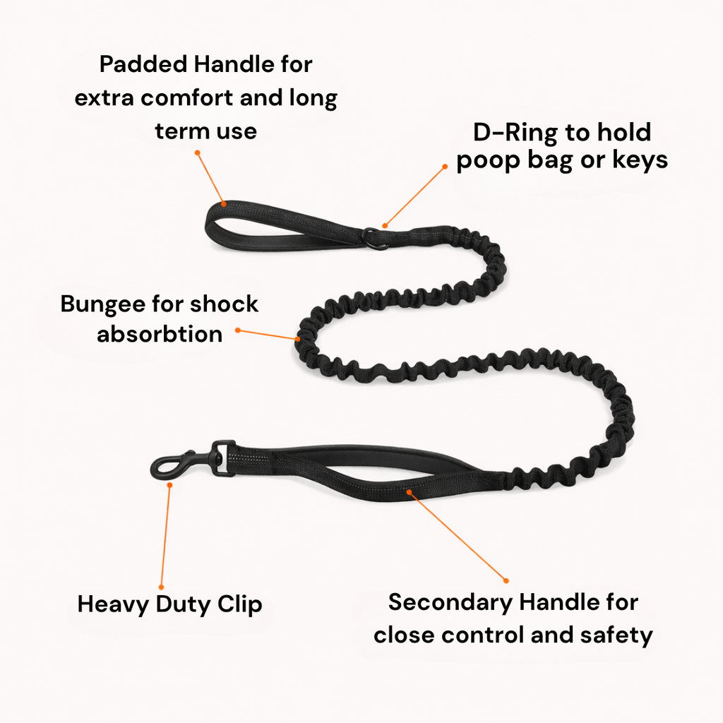 ParoPet Bungee Dog Lead