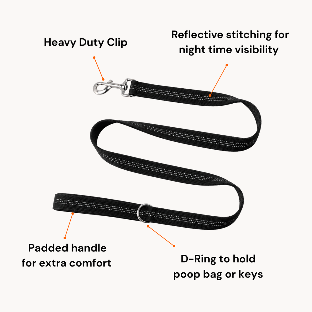 🎁 FREE ParoPet Classic Dog Lead