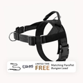 Extra No-Pull Harness & Free Bungee Lead