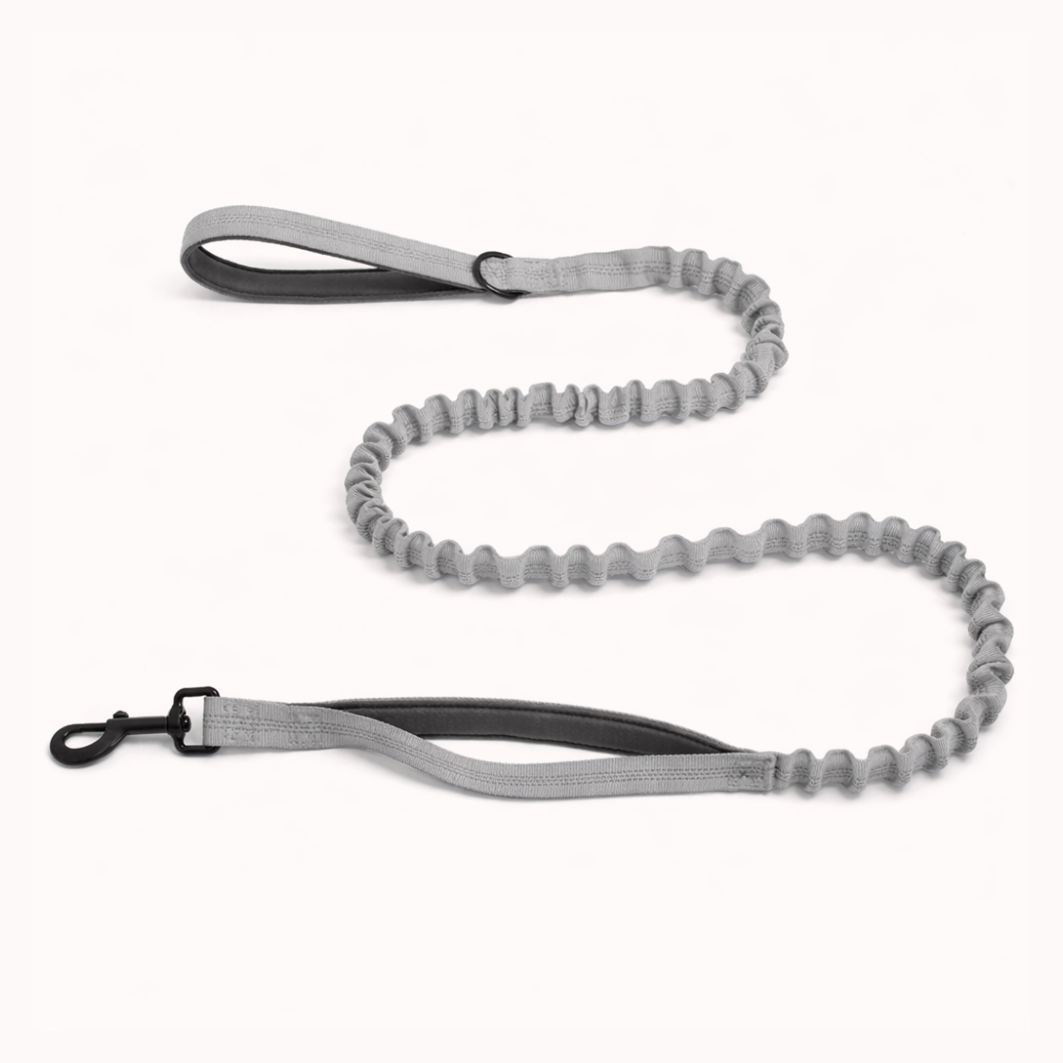 Matching Bungee Lead