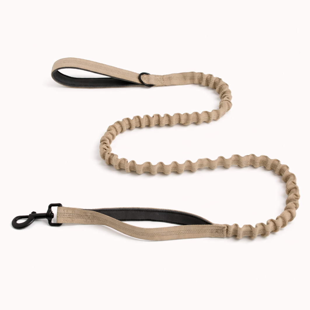 Matching Bungee Lead