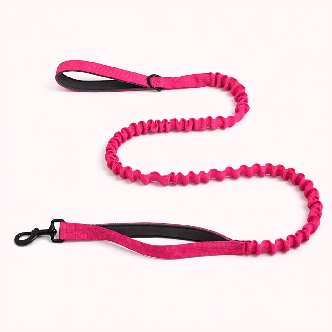 Matching Bungee Lead